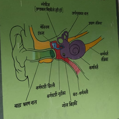 Aakash Painters & Artist