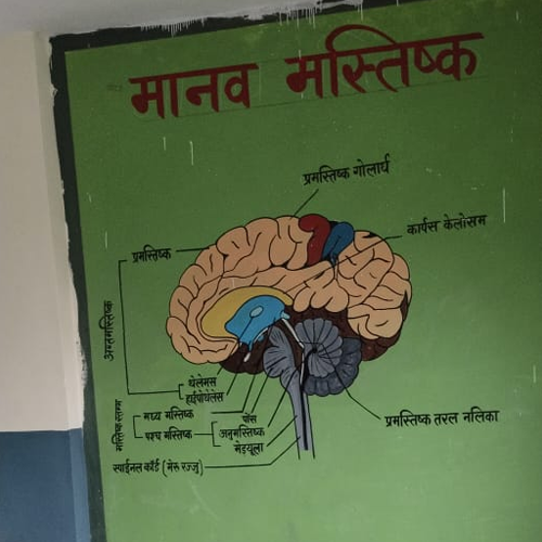 Aakash Painters & Artist